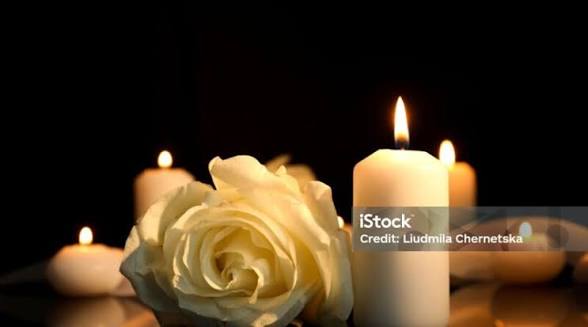 Morgan Seltzer Boston, MA Obituary and Death: Beloved TJX Companies Professional Has Died, Remembered for Kindness and Dedication